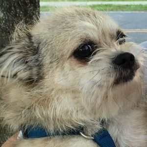 Meet your Posher, Brenda